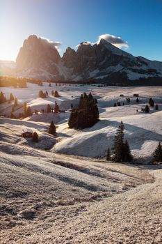 Beautiful view of traditional wooden mountain chalets on scenic Alpe di Siusi with famous Langkofel mountain peaks in the background in golden morning light at sunrise, Dolomites, South Tyrol, Italy