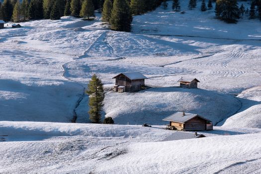 Beautiful view of traditional wooden mountain chalets on scenic Alpe di Siusi with famous Langkofel mountain peaks in the background in golden morning light at sunrise, Dolomites, South Tyrol, Italy