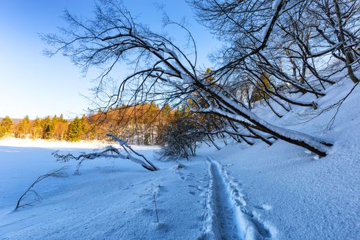 Plitvice lakes during winter, Croatia, Europe