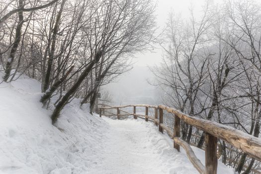 Winter path covered by snow thru plitvice lake, Croatia