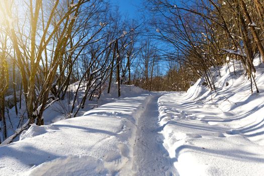 Snow path at Plitvice lakes during winter, Croatia, Europe