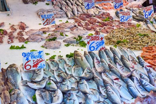 Fresh fish and seafood for sale at a market in Naples, Italy