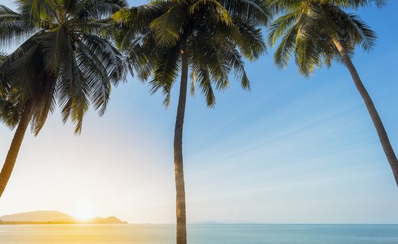 Sunset on the sea with 3 coconut palm tree