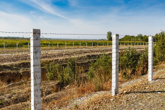 state border between Kyrgyzstan and Uzbekistan, barbed wire fence