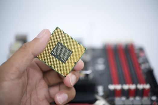 Hand holding CPU show  the ic surface and have motherboard open socket mount for cpu isolated on white bakcground