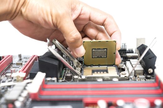 Hand holding CPU show  the ic surface and have motherboard open socket mount for cpu isolated on white bakcground
