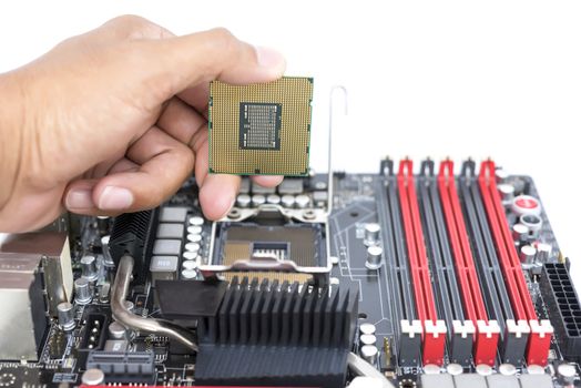 Someone hand holding CPU show  the ic surface and under have motherboard open socket mount for cpu isolated on white bakcground