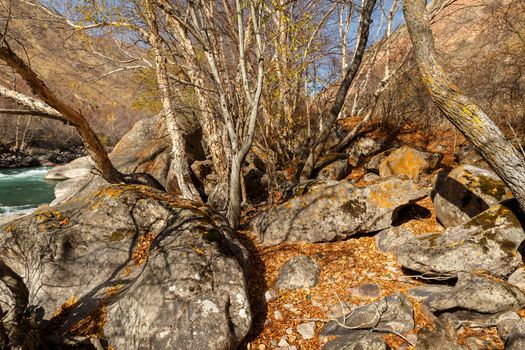 large boulders on the banks of a mountain river, Kokemeren river, Kyrgyzstan