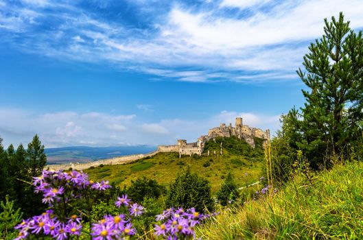 Spiss castle (spissky hrad) in a summer day, medieval ruin, unesco heritage, Slovakia, Europe