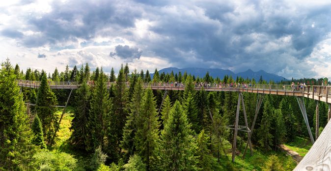 Bachledova dolina treetop walk, Slovakia, Europe