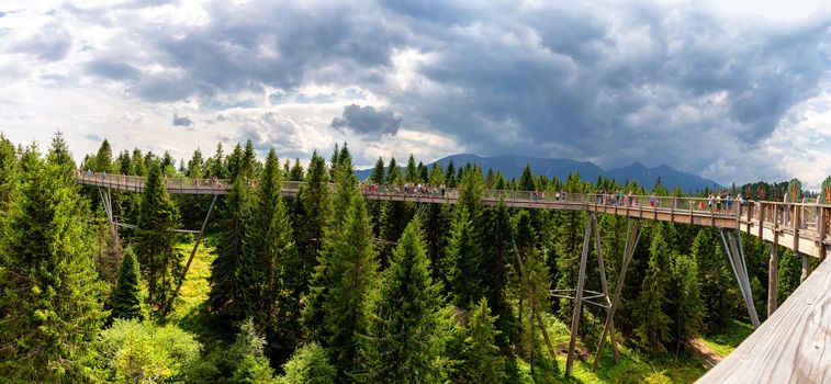 Bachledova dolina treetop walk, Slovakia, Europe