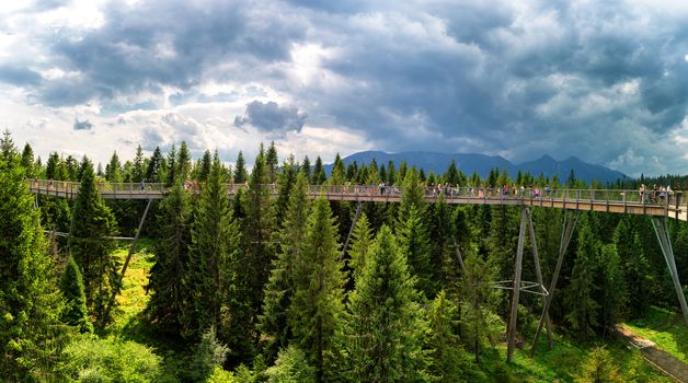 Bachledova dolina treetop walk, Slovakia, Europe