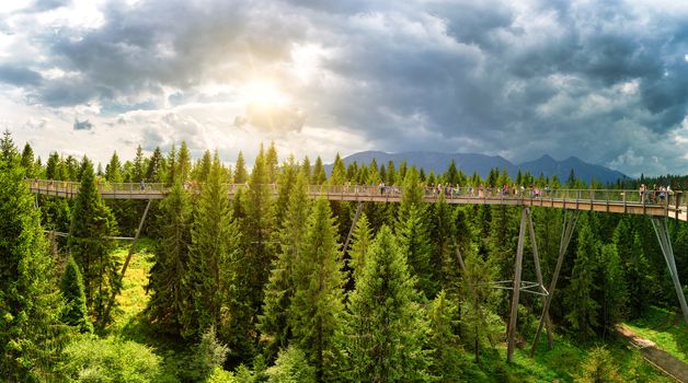 Bachledova dolina treetop walk, Slovakia, Europe