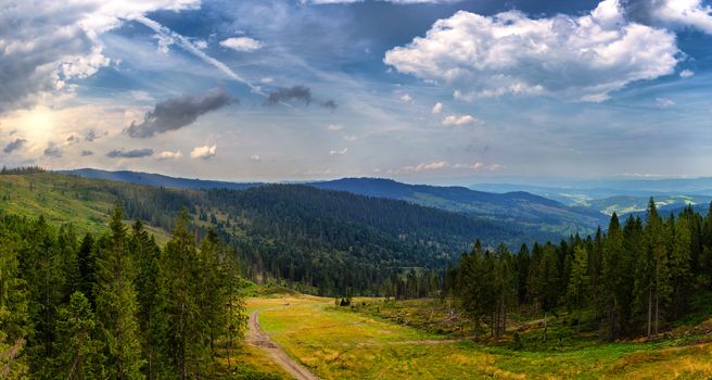 Bachledova dolina treetop walk, Slovakia, Europe