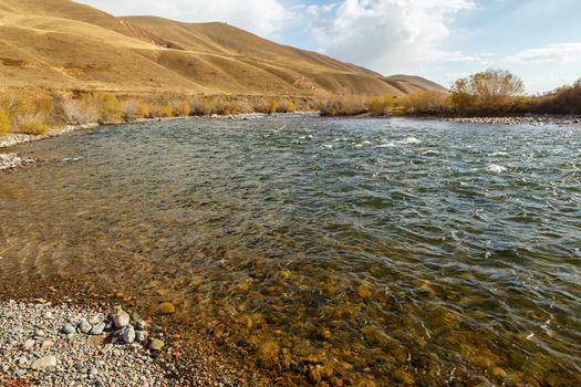 Susamyr river in Kyrgyzstan, clear water in a mountain river