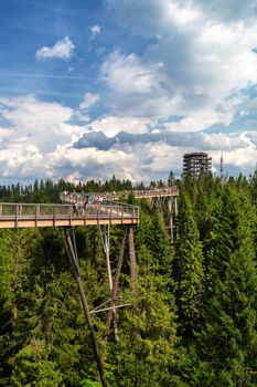 Bachledova dolina treetop walk, Slovakia, Europe