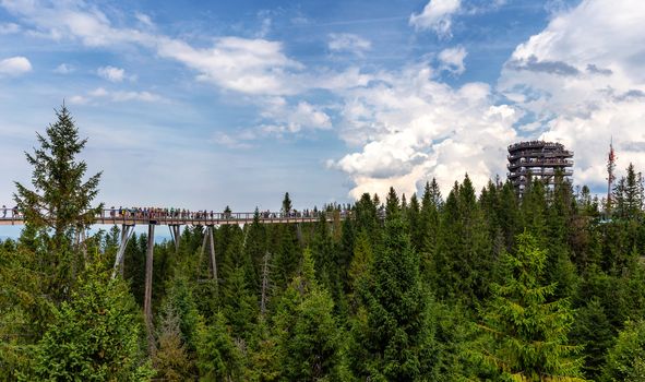 Bachledova dolina treetop walk, Slovakia, Europe