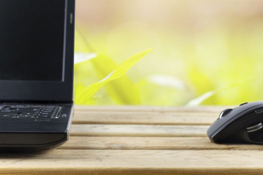 Office concept. Mouse and laptop on wood table and garden background. With copy space for text or design. Soft focus.