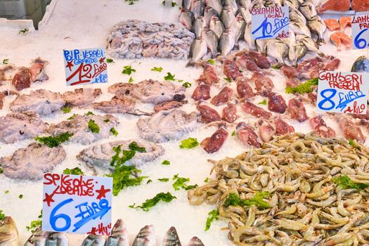 Octopus, calamari and fish for sale at a fish market in Naples, Italy
