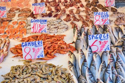 Bass and other fish and seafood for sale at a market in Naples, Italy