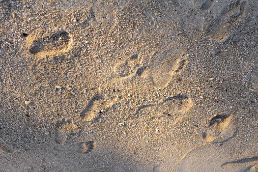 Footprint on sand background for text or design.
