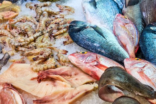 Fish and seafood for sale at a market in Rome, Italy