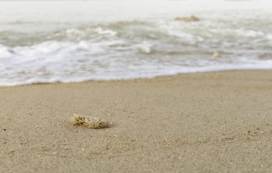 sand and sea background. For text or design.