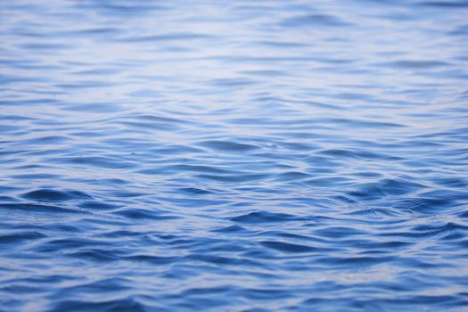 Blue sea water with fox background. For text or design.