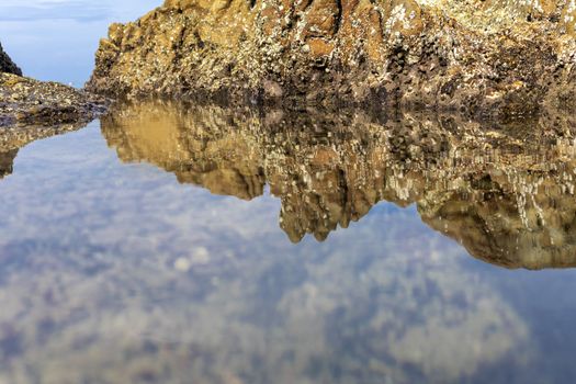 Big Rock and beach front background. For text or design