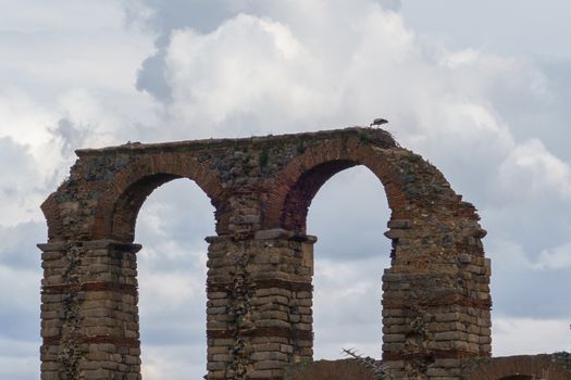 Bird nest in the famous roman aqueduct of the Miracles, Los Milagros, in Merida, province of Badajoz, Extremadura, Spain.The Archaeological Ensemble of Merida is declared a UNESCO World Heritage Site Ref 664