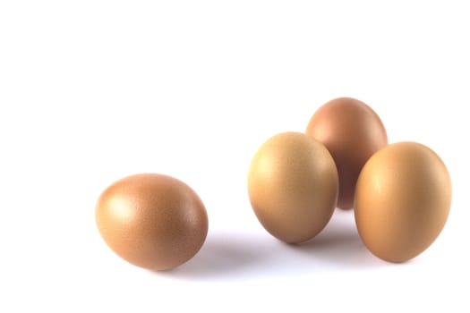 Fresh Chicken egg isolated on white background.