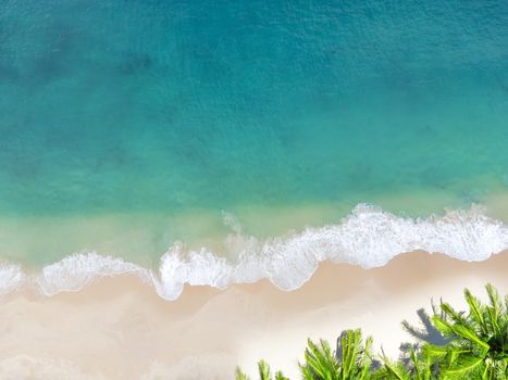 Aerial view top view Beautiful topical beach with white sand coconut palm trees and sea. Top view empty and clean beach. Waves crashing empty beach from above. With copy space.