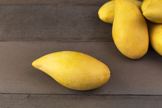 Yellow Fresh mangos real wood table. Mango tropical fruit on wood background. mangos with copy space for text or design.