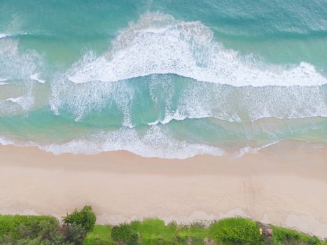 Aerial view top view Beautiful topical beach with white sand coconut palm trees and sea. Top view empty and clean beach. Waves crashing empty beach from above. With copy space.