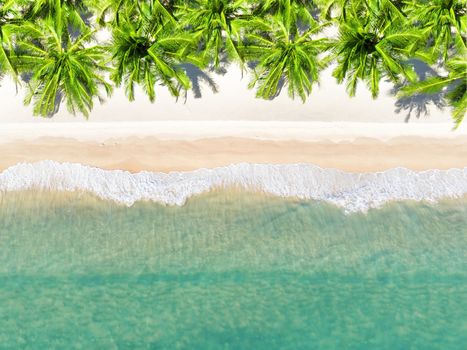 Aerial view top view Beautiful topical beach with white sand coconut palm trees and sea. Top view empty and clean beach. Waves crashing empty beach from above. With copy space.