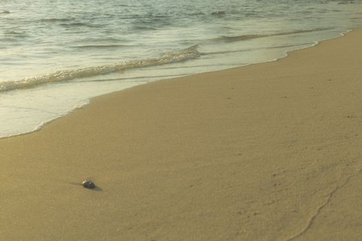 Soft wave from sea come to wet sand beach background. With copy space for text or design 