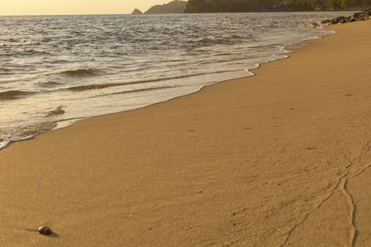 Soft wave from sea come to wet sand beach background. With copy space for text or design 