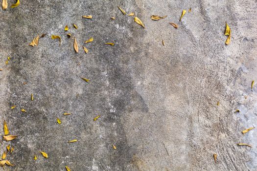 Cement floor with little dry leaves background.