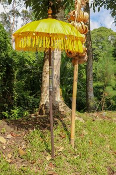 Decoration of Hindu temple complex Batukaru on Bali island in Indonesia. Yellow and white decorative umbrellas line the path for believing visitors. Colorful fabric umbrellas with decorative fringes.