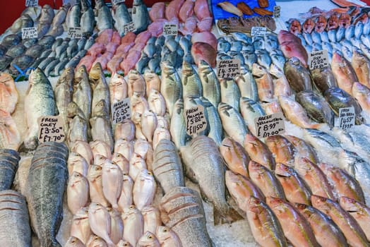Great selection of fresh fish for sale at a market in Brixton, London