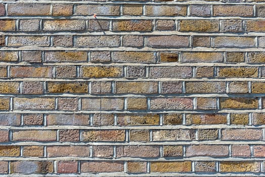 Background from a brown brick wall