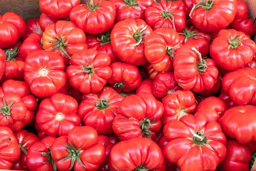 Ripped sicilian tomatoes for sale at a market