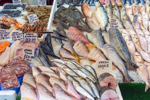 Different kinds of fish and prawns for sale at a market in Brixton, London