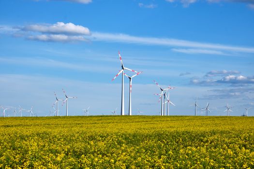 Flowering canola field with wind energy generators seen in Germany