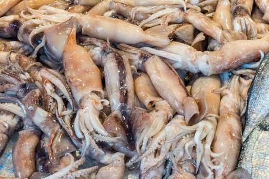 Squid for sale at a market in Palermo, Sicily