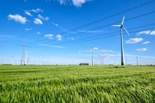 Wind turbines and power lines in a corn field seen in Germany