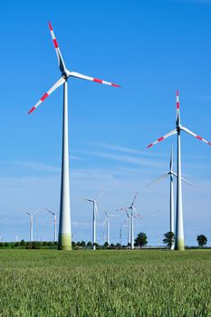 Wind energy generators in a cornfield seen in Germany