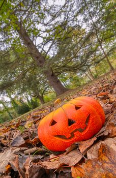 Halloween scary pumpkin with a smile in autumn forest