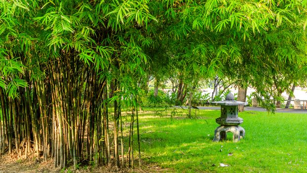 Green tree and grass lawn in park background.