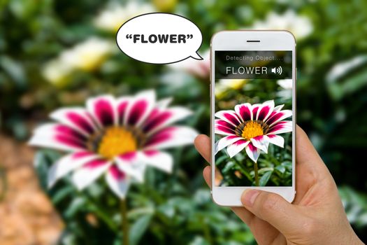 Concept of smartphone speaking out word for handicap using blind assistance app.